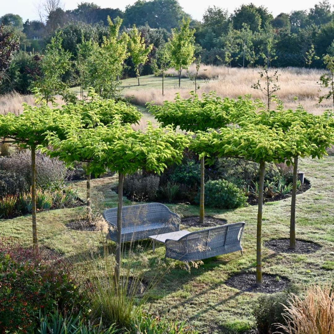 Orchard Dene Bed and Breakfast Chidham Buitenkant foto
